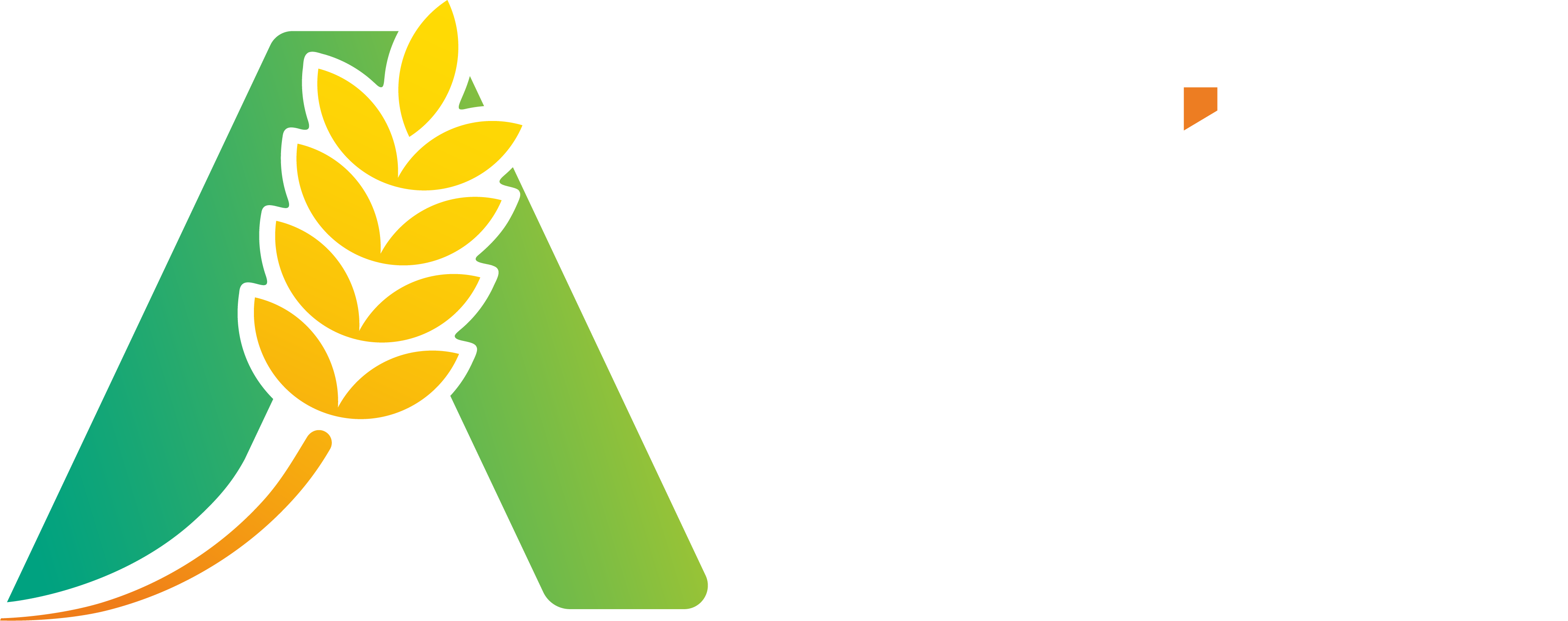 Asset 7
