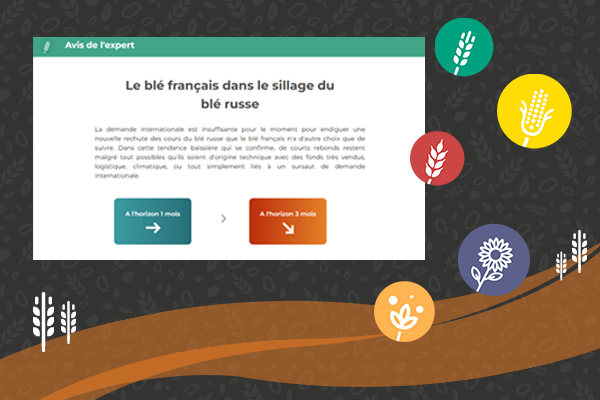 Découvrir l'offre image 2